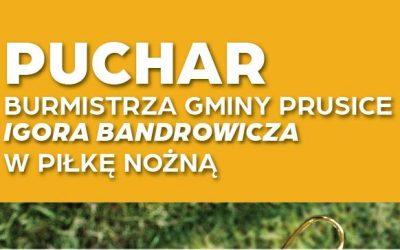 puchar gminy Prusice